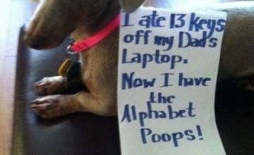 Alphabet-Poops