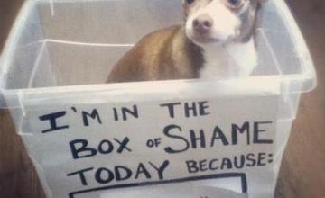 The-Box-of-Shame